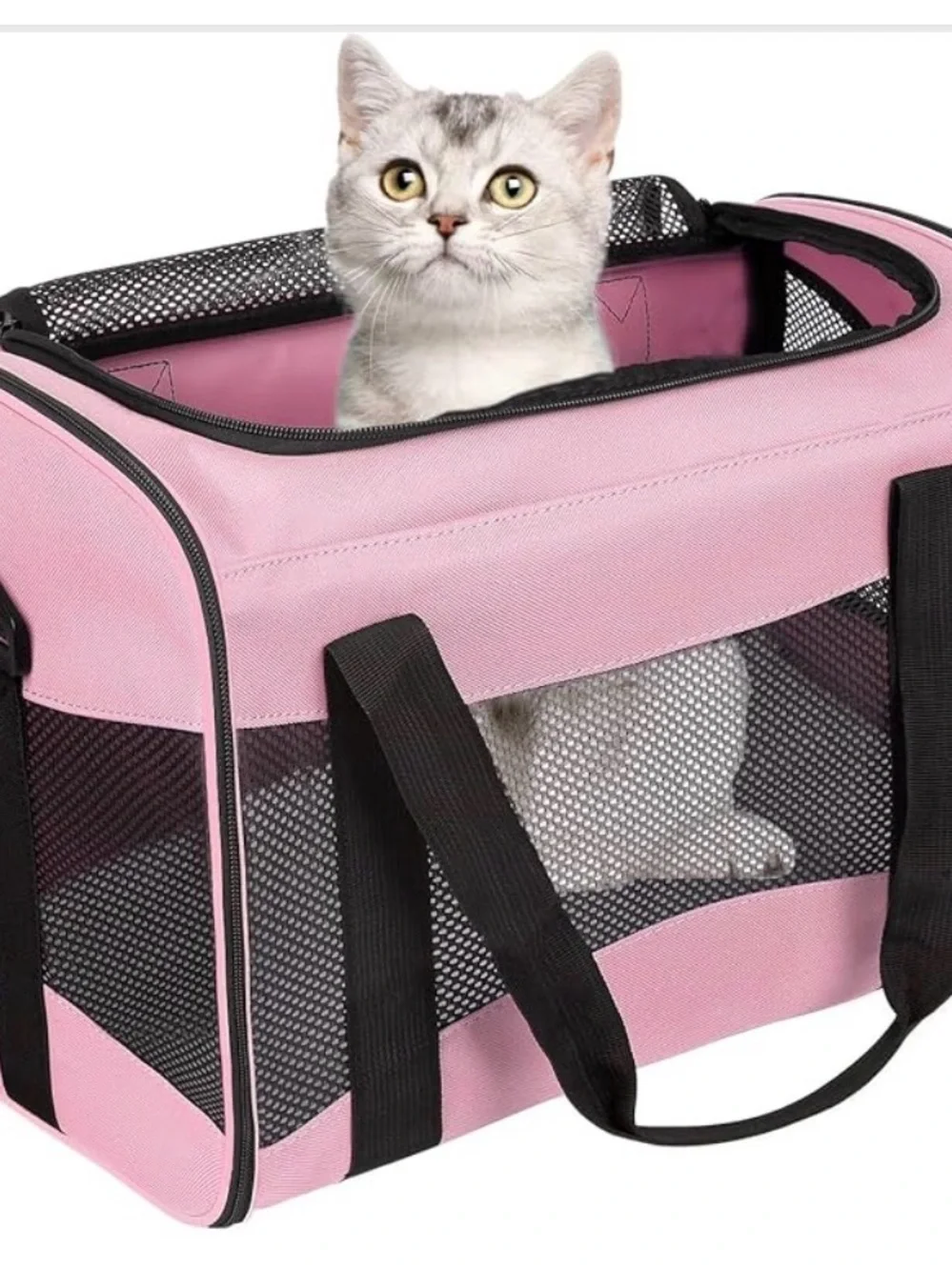 Portable Pink Soft-Sided Cat & Small Pet Carrier with Mesh Panels